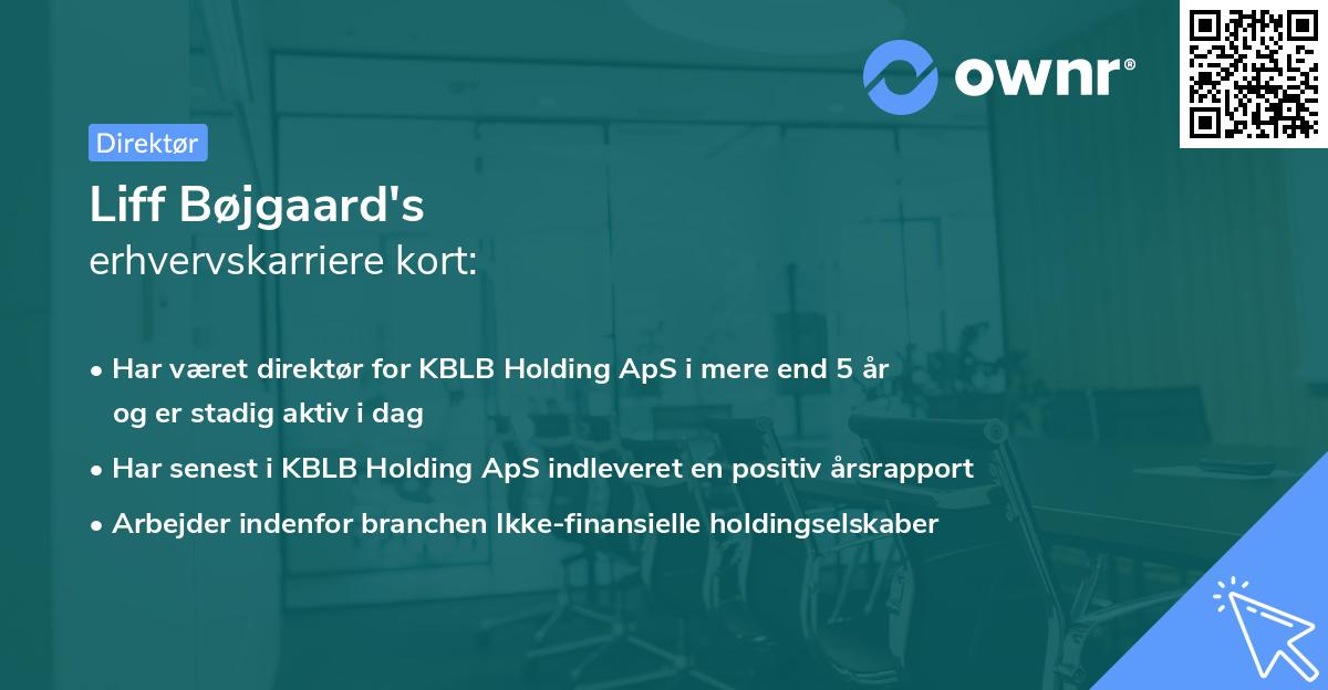 Liff Bøjgaard's erhvervskarriere kort