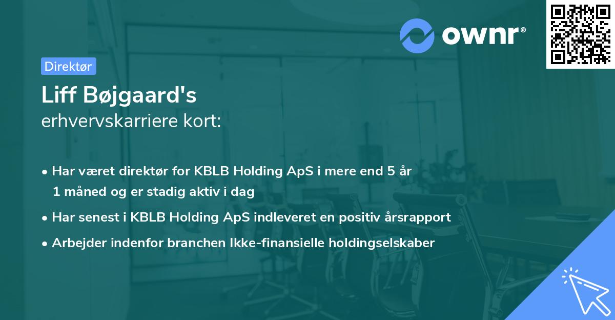 Liff Bøjgaard's erhvervskarriere kort