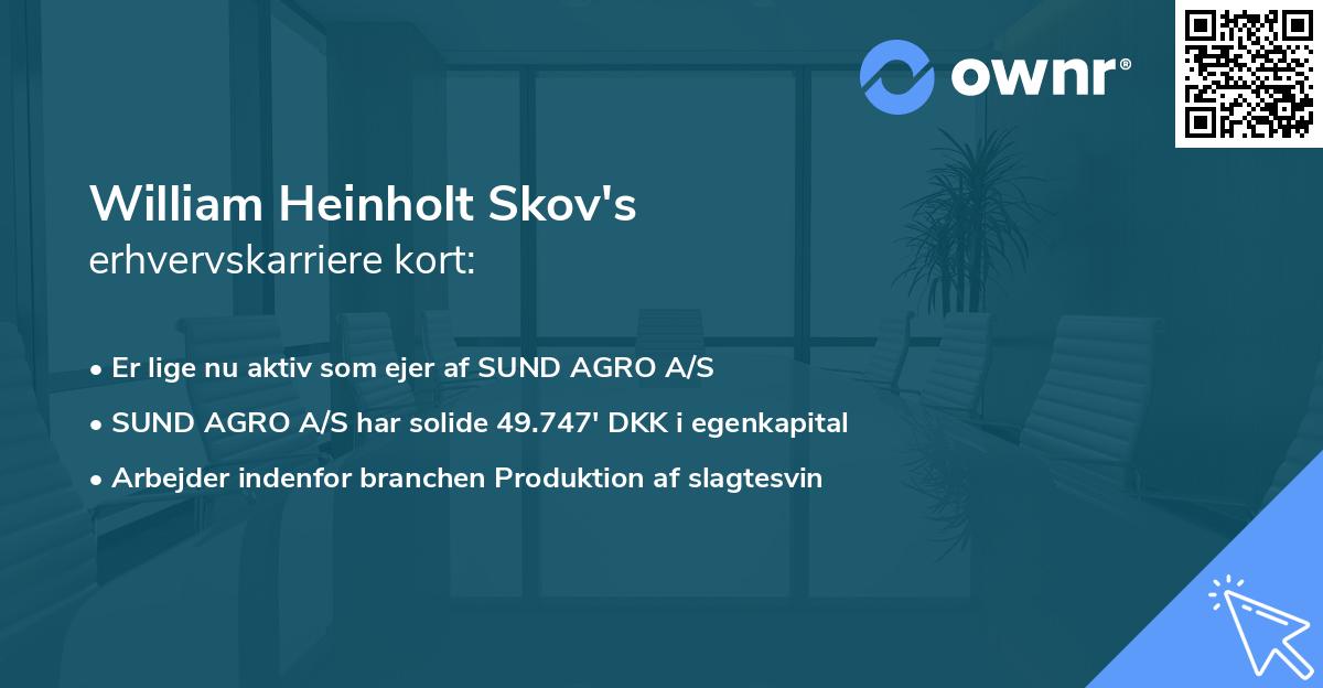 William Heinholt Skov's erhvervskarriere kort