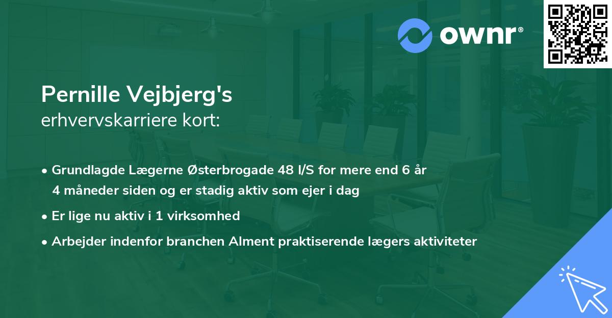 Pernille Vejbjerg's erhvervskarriere kort