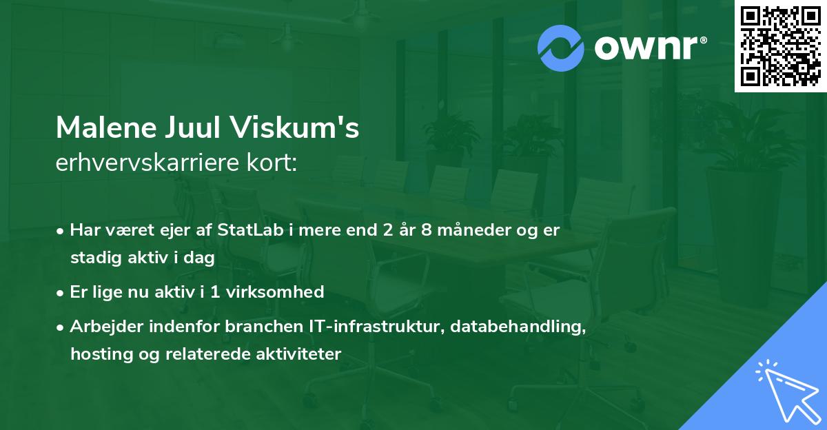 Malene Juul Viskum's erhvervskarriere kort