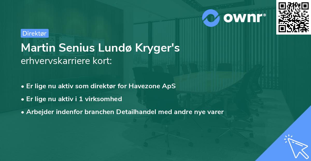 Martin Senius Lundø Kryger's erhvervskarriere kort