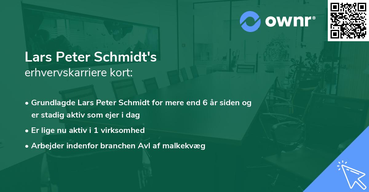 Lars Peter Schmidt's erhvervskarriere kort