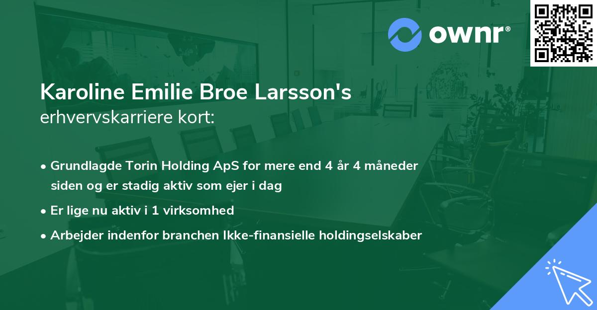 Karoline Emilie Broe Larsson's erhvervskarriere kort