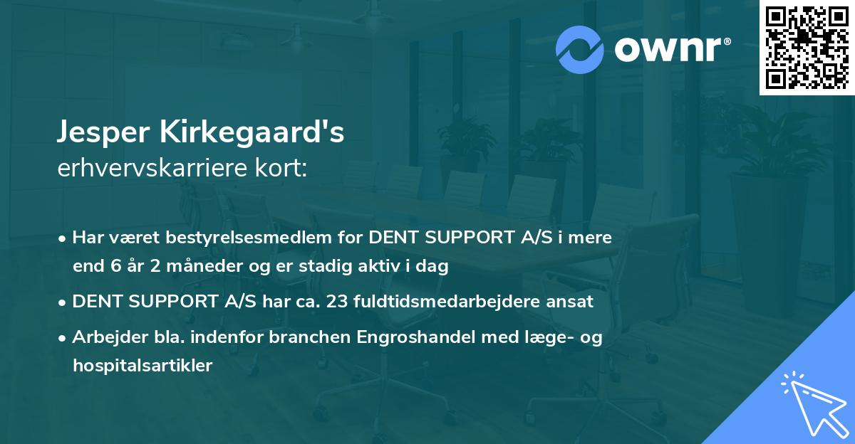 Jesper Kirkegaard's erhvervskarriere kort