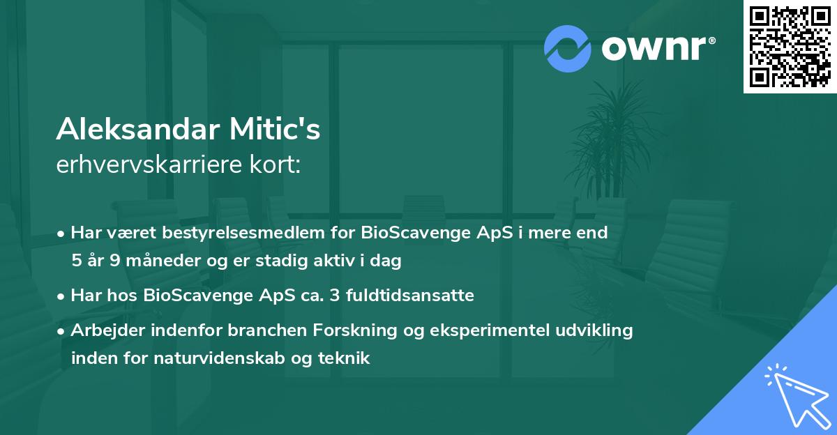 Aleksandar Mitic's erhvervskarriere kort