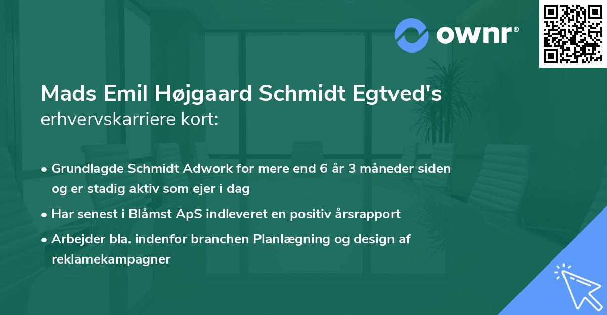 Mads Emil Højgaard Schmidt Egtved's erhvervskarriere kort