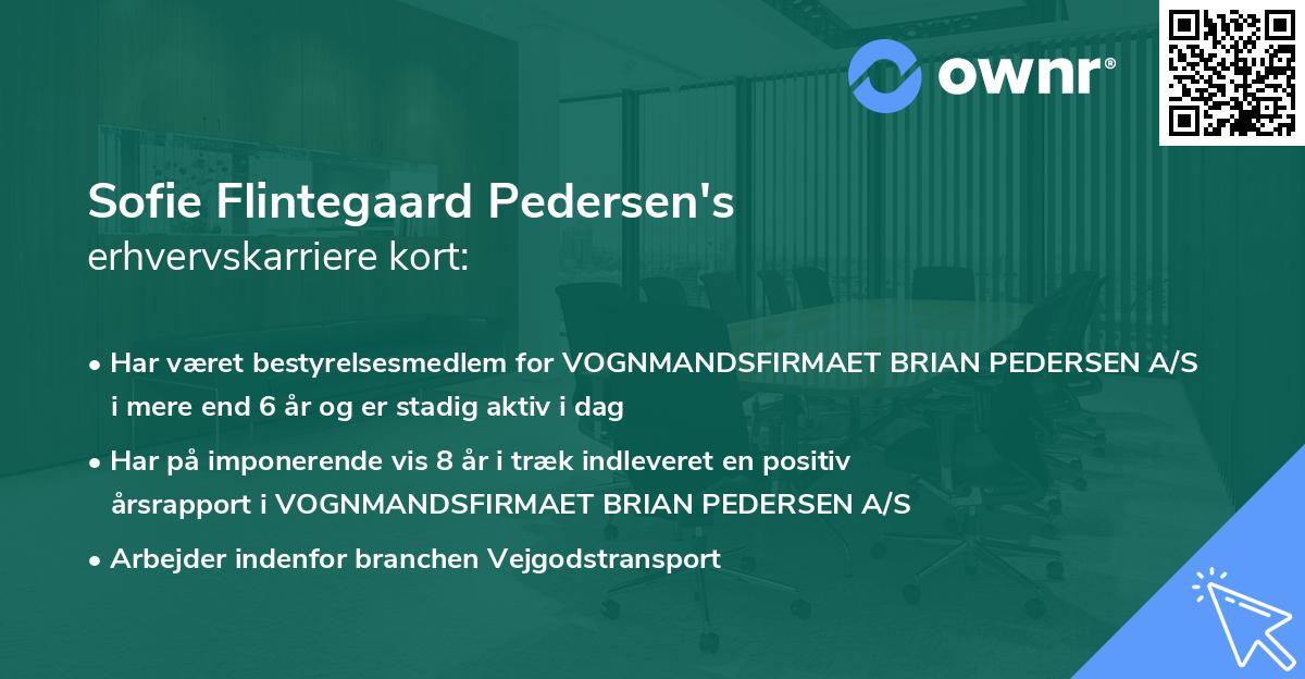 Sofie Flintegaard Pedersen's erhvervskarriere kort