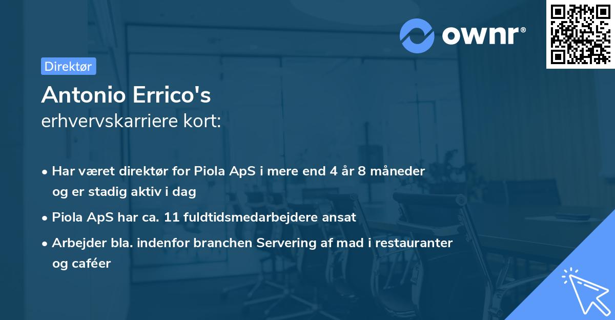 Antonio Errico's erhvervskarriere kort