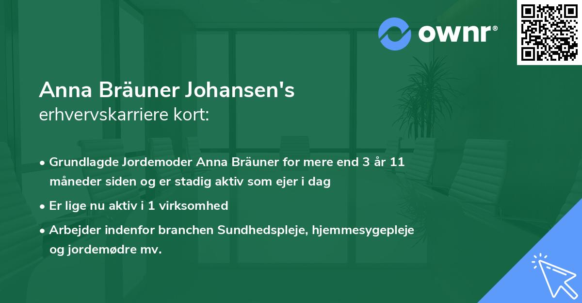 Anna Bräuner Johansen's erhvervskarriere kort