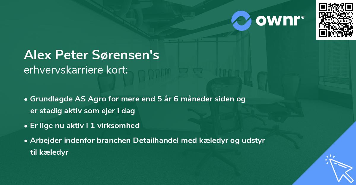 Alex Peter Sørensen's erhvervskarriere kort