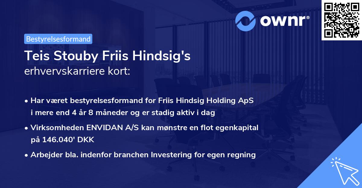Teis Stouby Friis Hindsig's erhvervskarriere kort