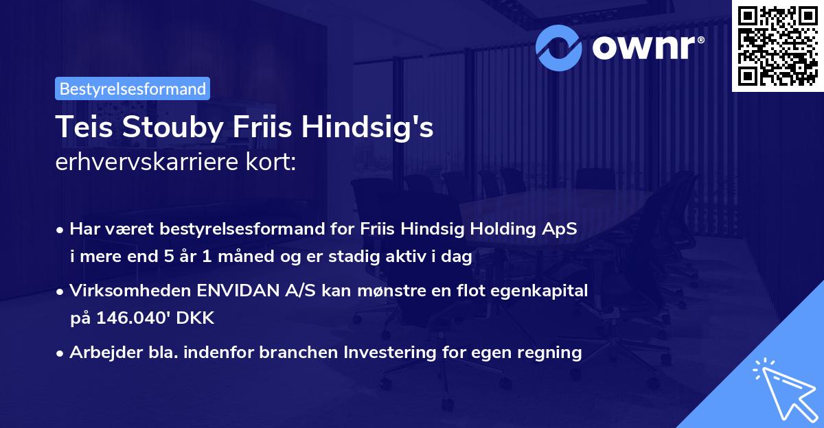 Teis Stouby Friis Hindsig's erhvervskarriere kort