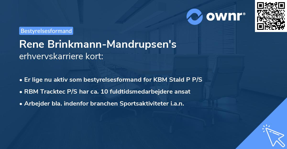 Rene Brinkmann-Mandrupsen's erhvervskarriere kort