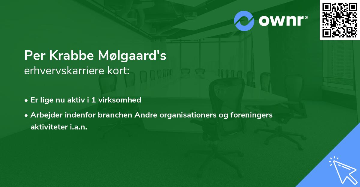 Per Krabbe Mølgaard's erhvervskarriere kort