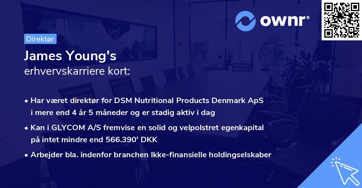James Young's erhvervskarriere kort