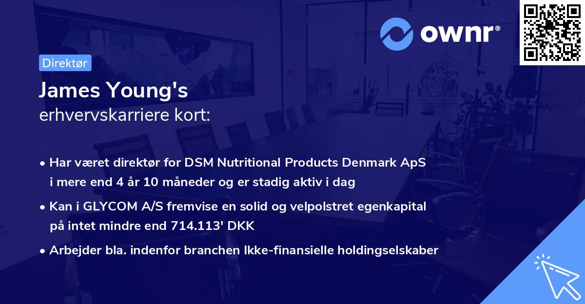 James Young's erhvervskarriere kort