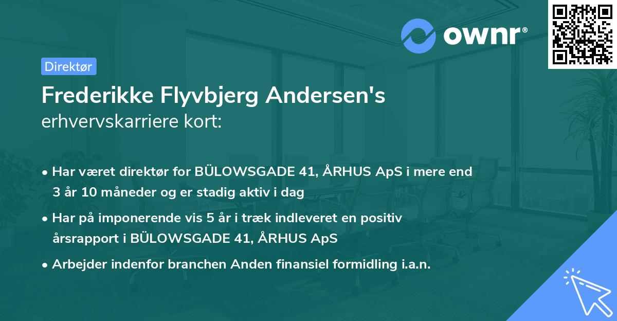 Frederikke Flyvbjerg Andersen's erhvervskarriere kort