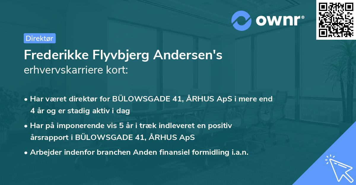 Frederikke Flyvbjerg Andersen's erhvervskarriere kort