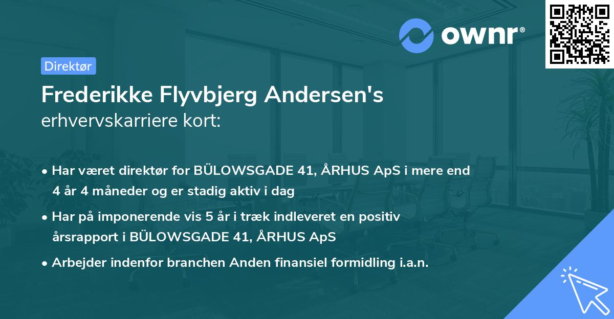 Frederikke Flyvbjerg Andersen's erhvervskarriere kort