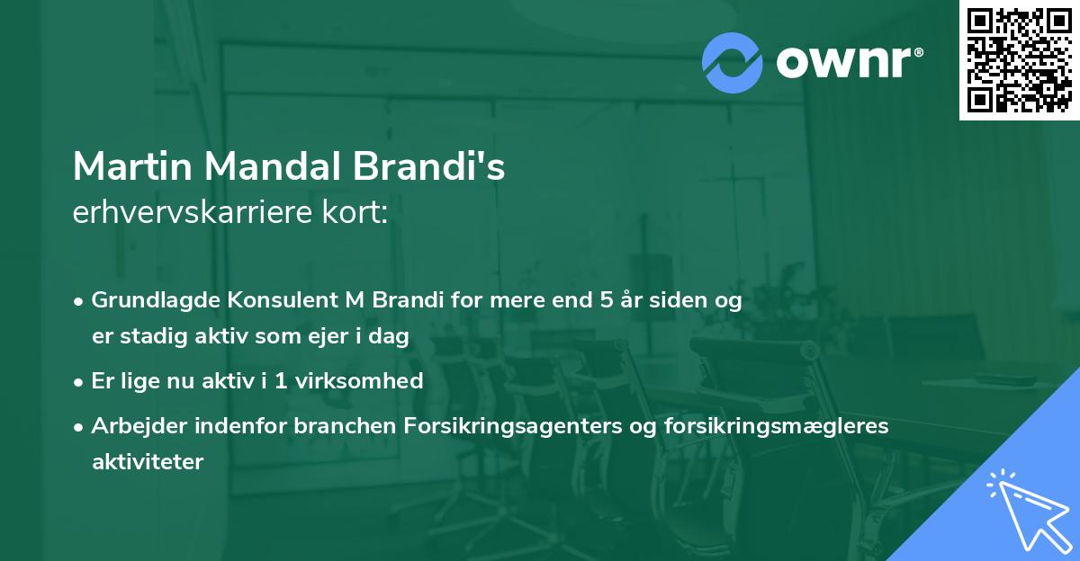 Martin Mandal Brandi's erhvervskarriere kort