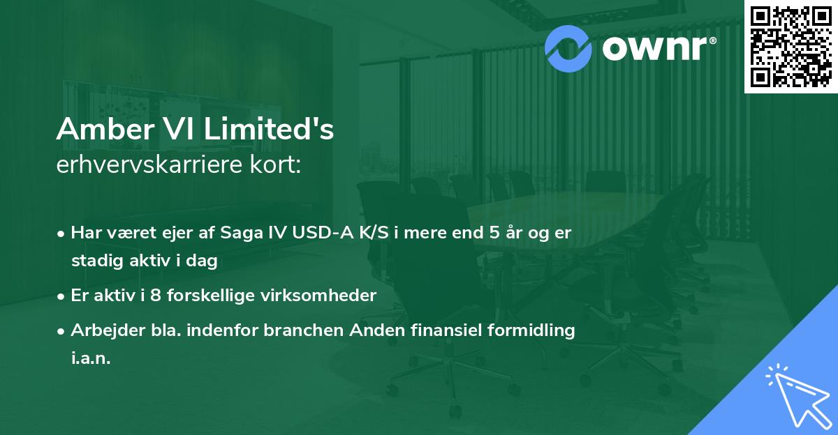 Amber VI Limited's erhvervskarriere kort