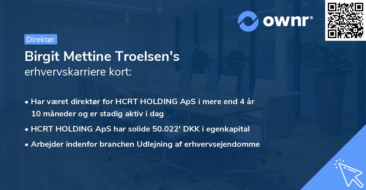 Birgit Mettine Troelsen's erhvervskarriere kort