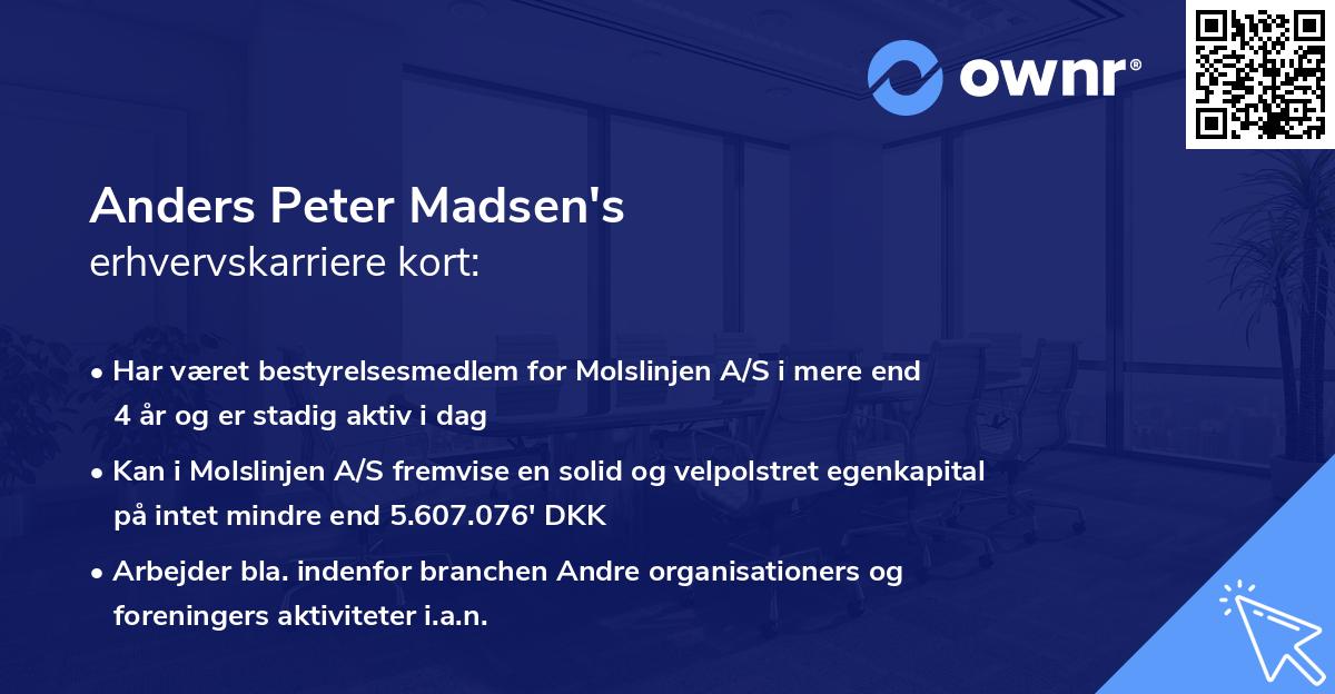 Anders Peter Madsen's erhvervskarriere kort