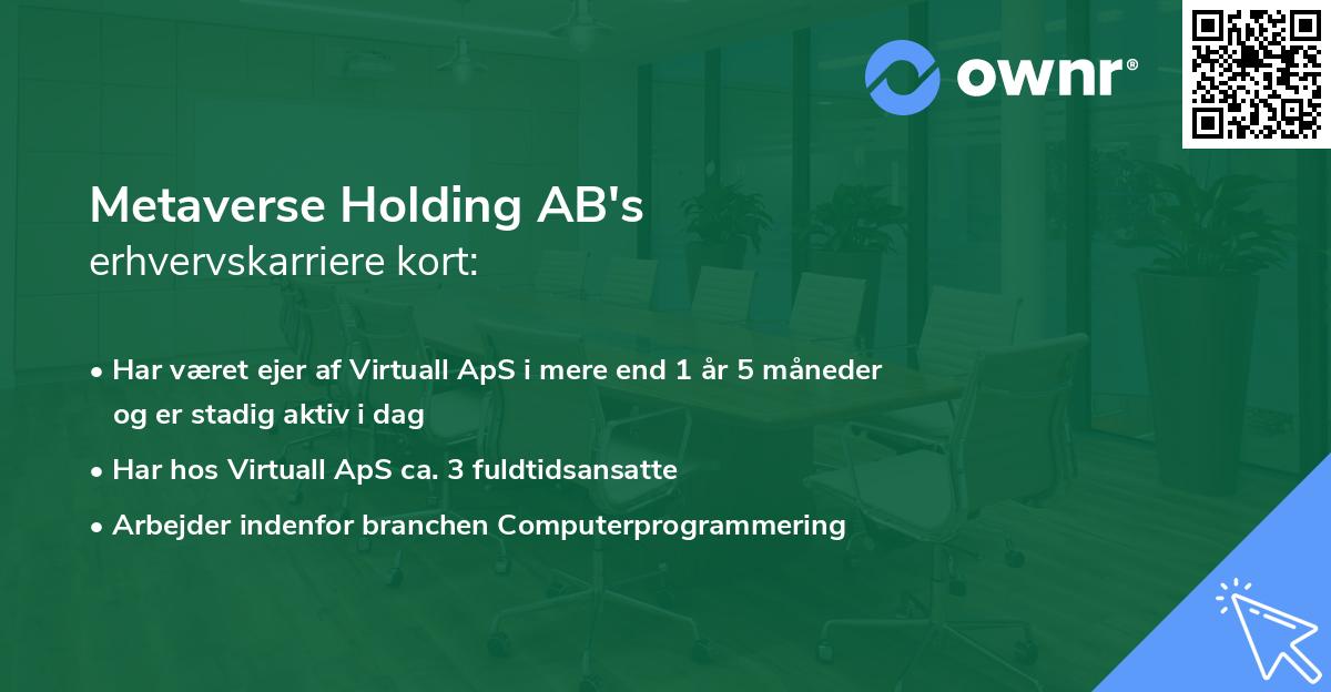 Metaverse Holding AB's erhvervskarriere kort