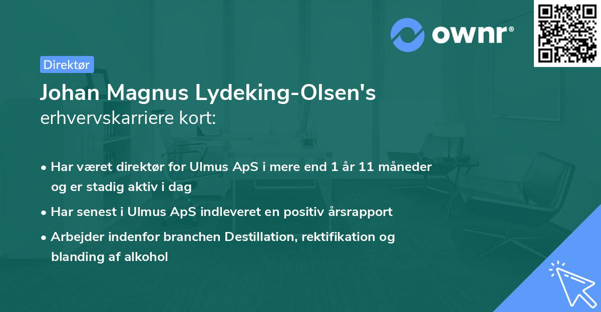 Johan Magnus Lydeking-Olsen's erhvervskarriere kort