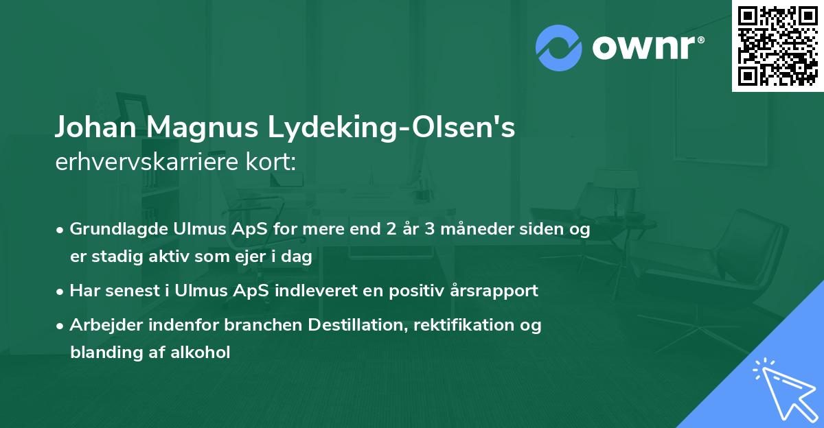 Johan Magnus Lydeking-Olsen's erhvervskarriere kort
