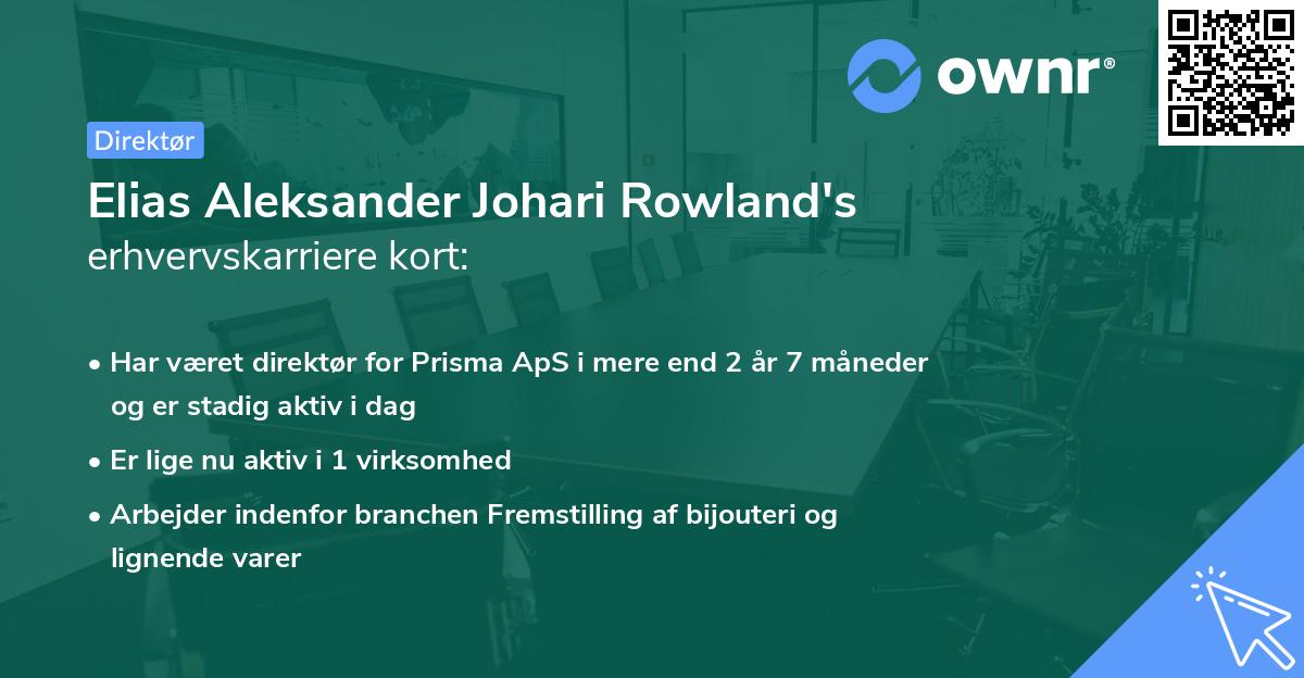Elias Aleksander Johari Rowland's erhvervskarriere kort