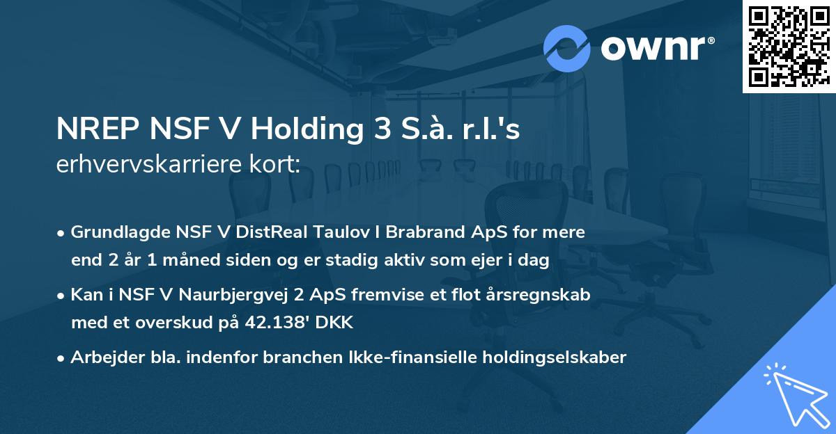 NREP NSF V Holding 3 S.à. r.l.'s erhvervskarriere kort