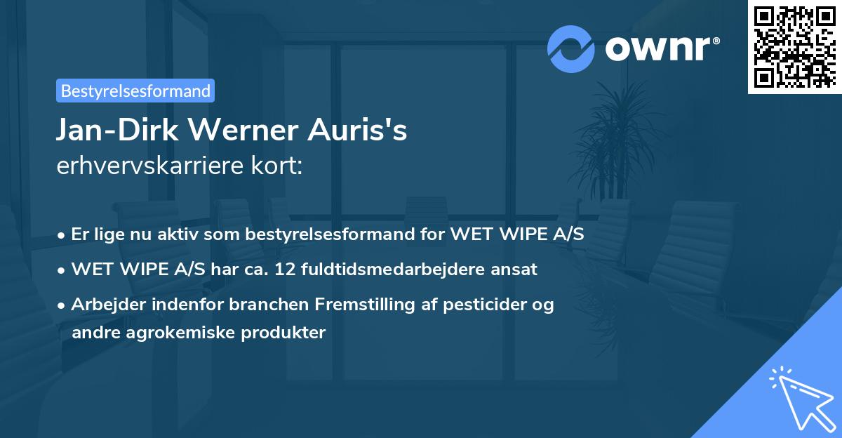 Jan-Dirk Werner Auris's erhvervskarriere kort