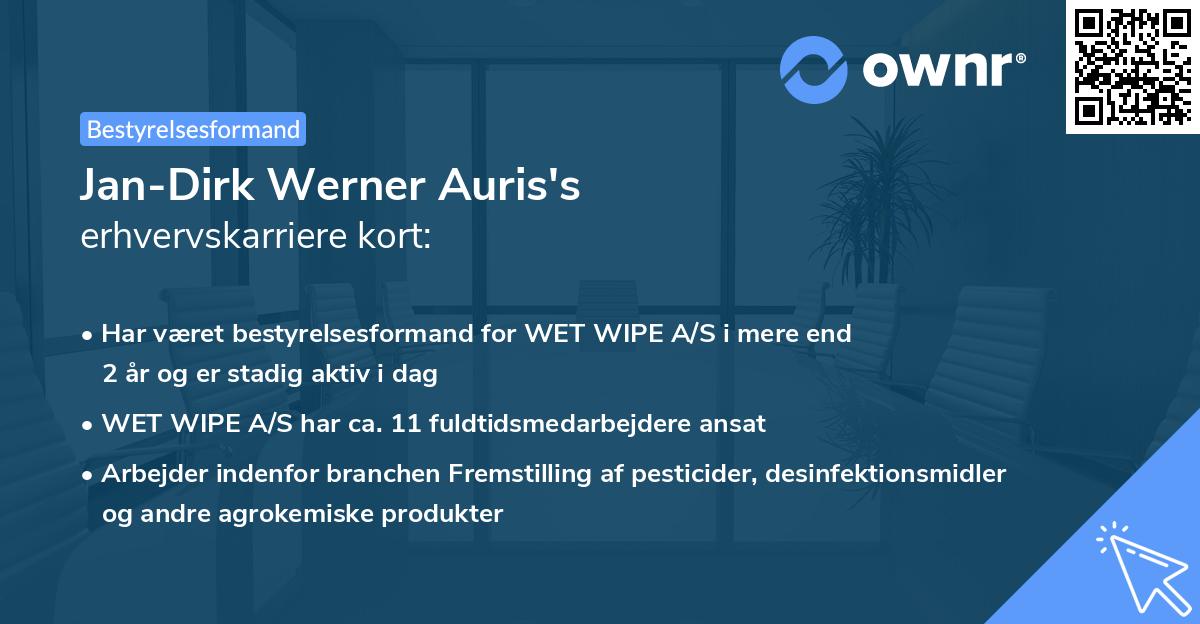 Jan-Dirk Werner Auris's erhvervskarriere kort