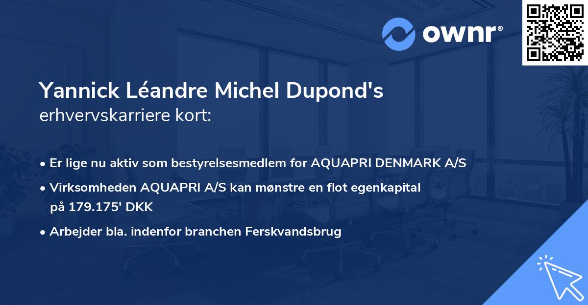 Yannick Léandre Michel Dupond's erhvervskarriere kort