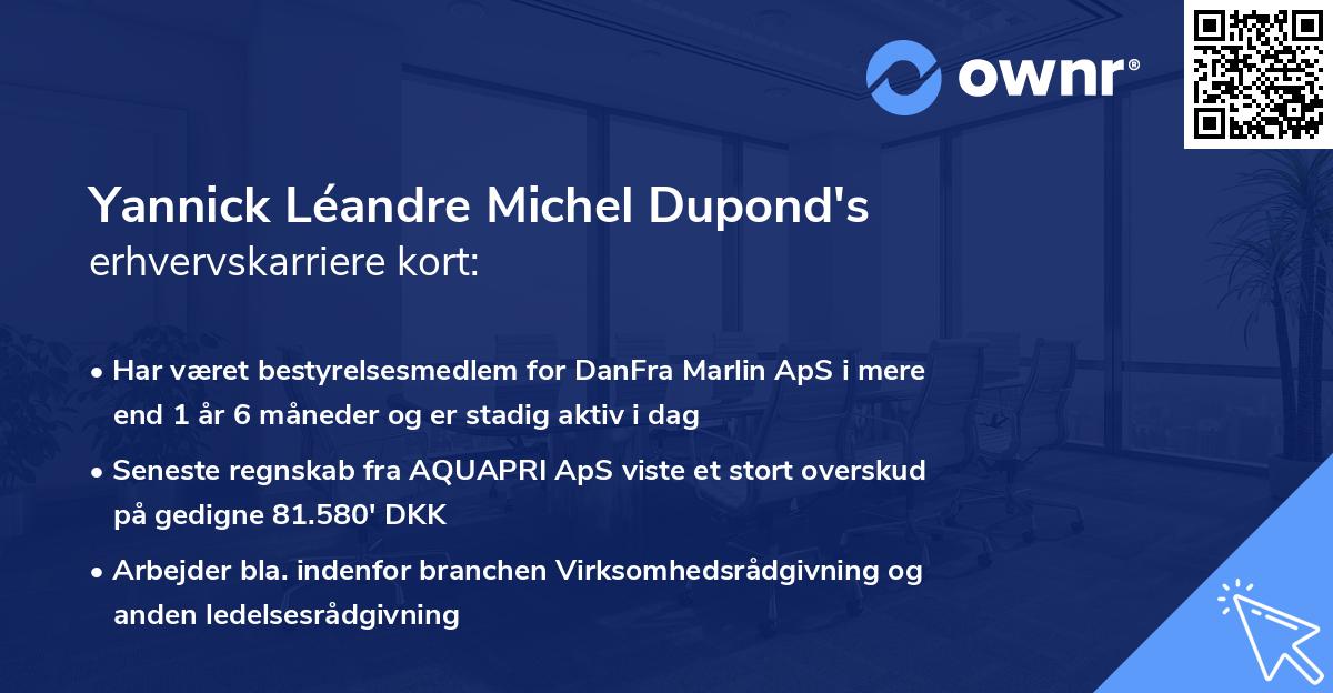 Yannick Léandre Michel Dupond's erhvervskarriere kort