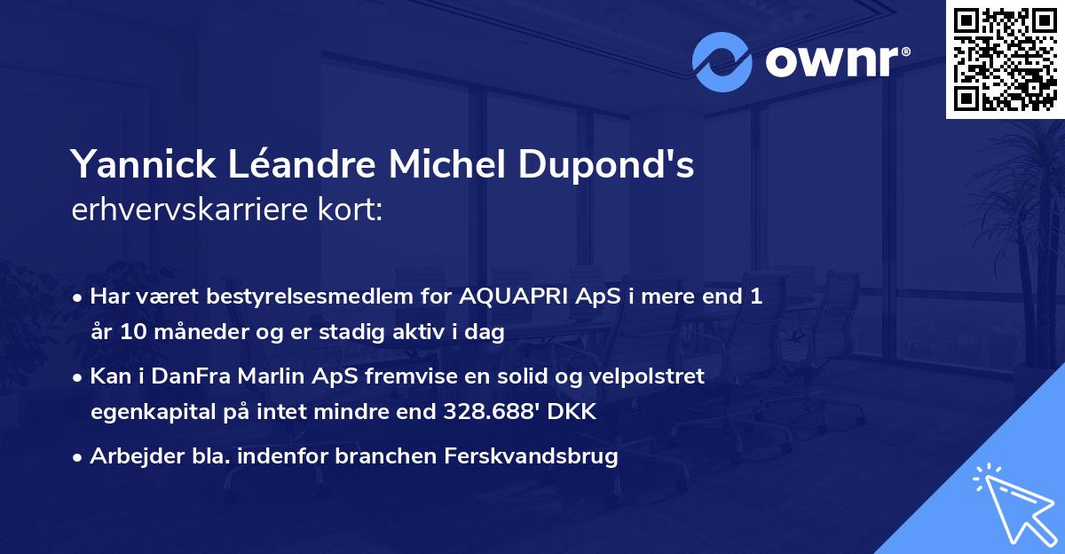 Yannick Léandre Michel Dupond's erhvervskarriere kort