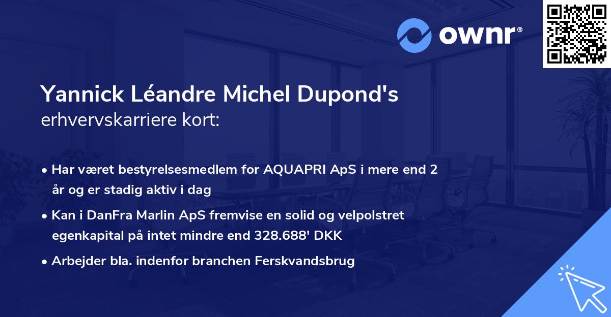 Yannick Léandre Michel Dupond's erhvervskarriere kort