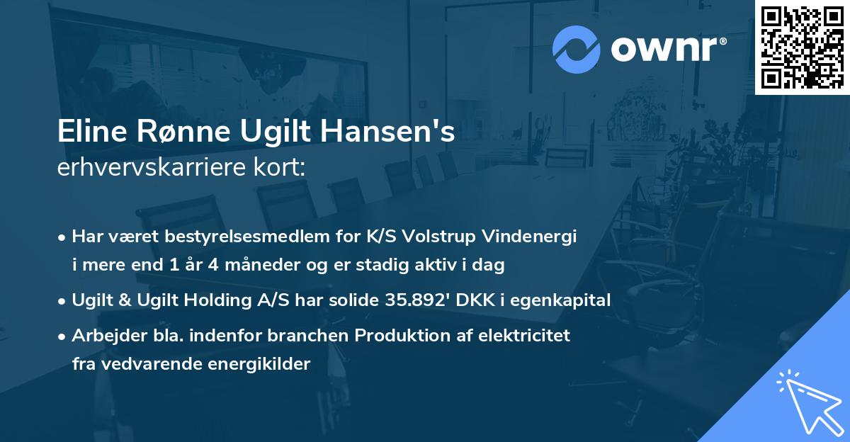 Eline Rønne Ugilt Hansen's erhvervskarriere kort
