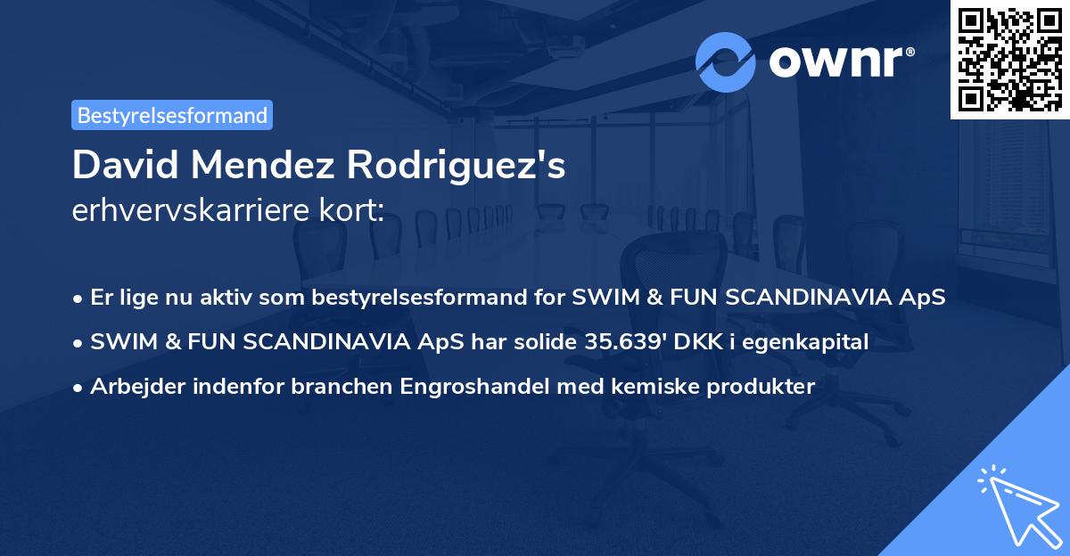 David Mendez Rodriguez's erhvervskarriere kort