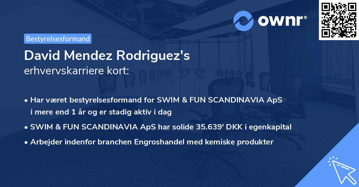 David Mendez Rodriguez's erhvervskarriere kort