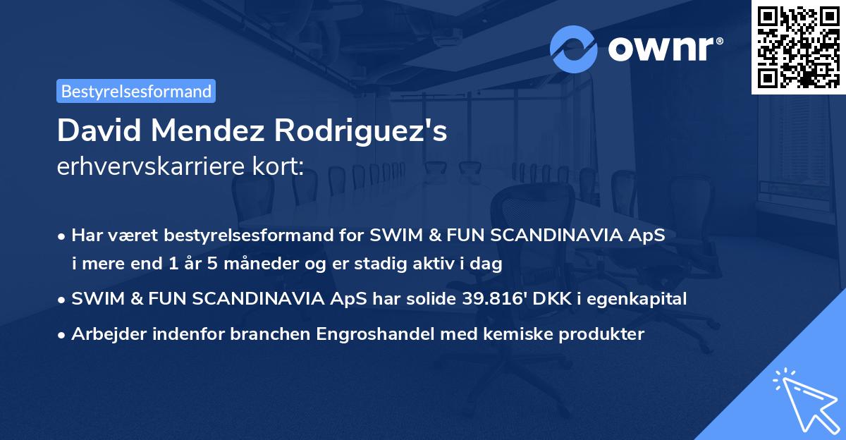 David Mendez Rodriguez's erhvervskarriere kort