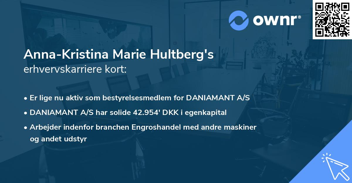 Anna-Kristina Marie Hultberg's erhvervskarriere kort