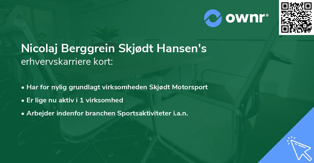 Nicolaj Berggrein Skjødt Hansen's erhvervskarriere kort