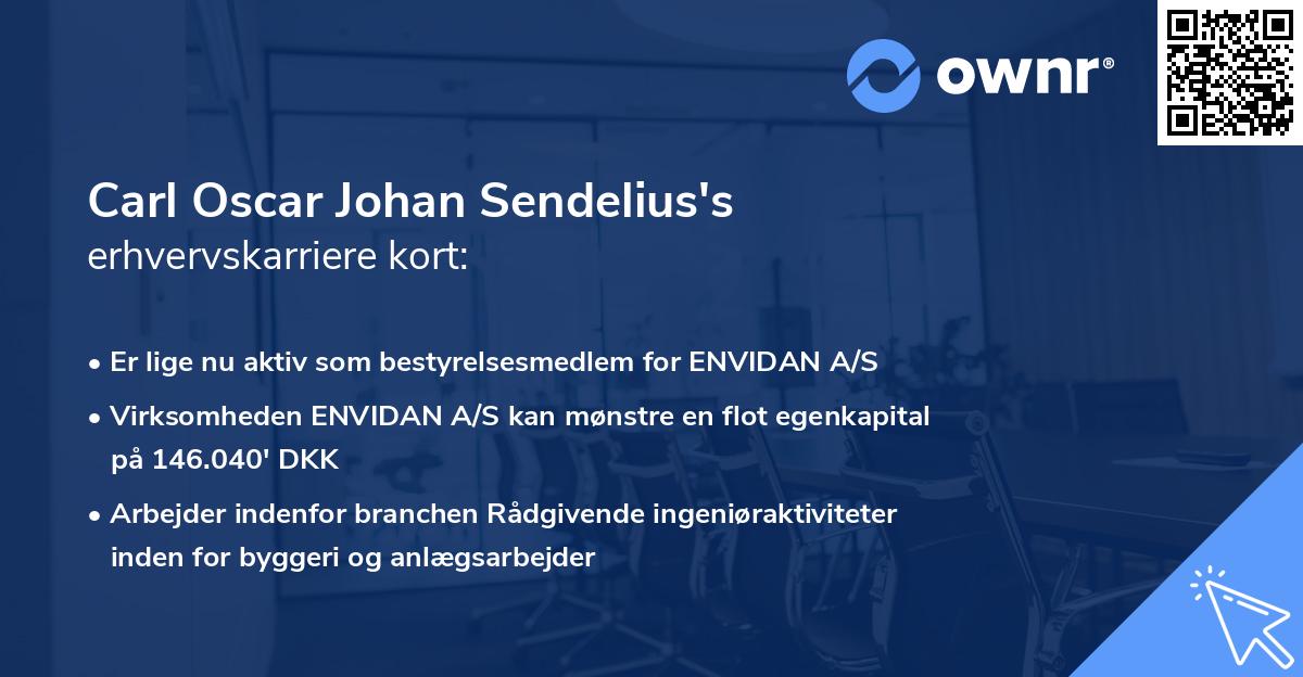 Carl Oscar Johan Sendelius's erhvervskarriere kort