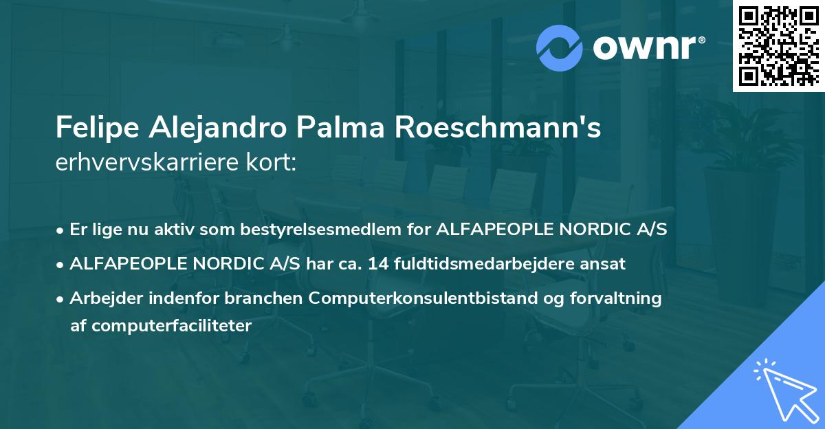 Felipe Alejandro Palma Roeschmann's erhvervskarriere kort