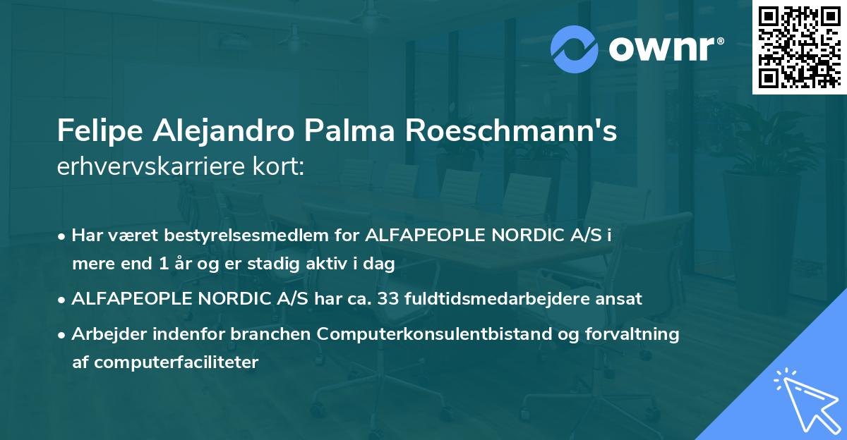 Felipe Alejandro Palma Roeschmann's erhvervskarriere kort