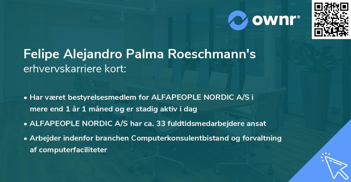 Felipe Alejandro Palma Roeschmann's erhvervskarriere kort