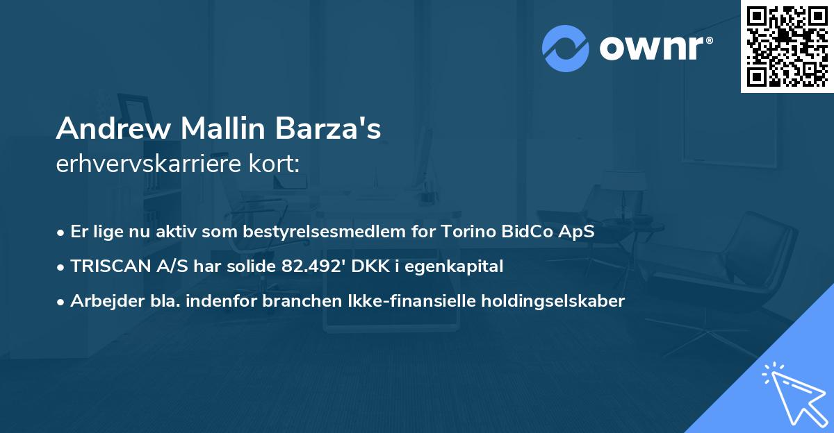 Andrew Mallin Barza's erhvervskarriere kort